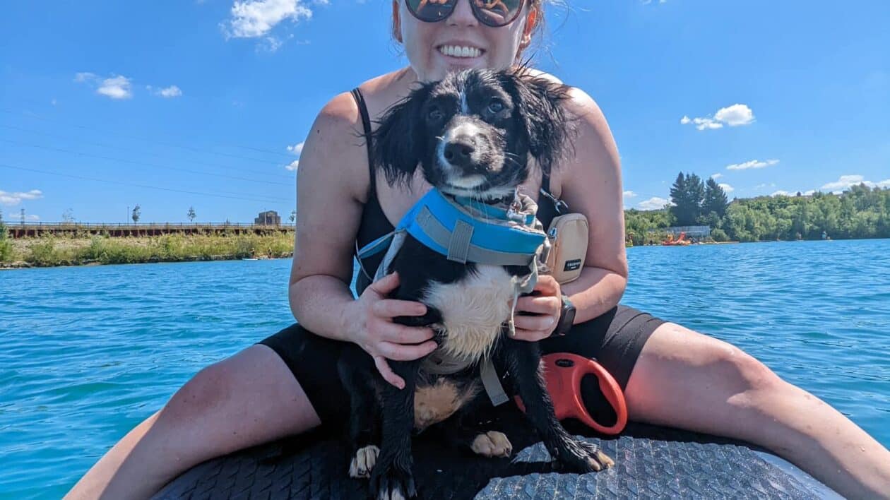 best-dog-friendly-beaches-near-london-day-out-with-the-kids