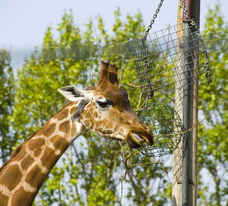 Cadbury world and West Midlands Safari