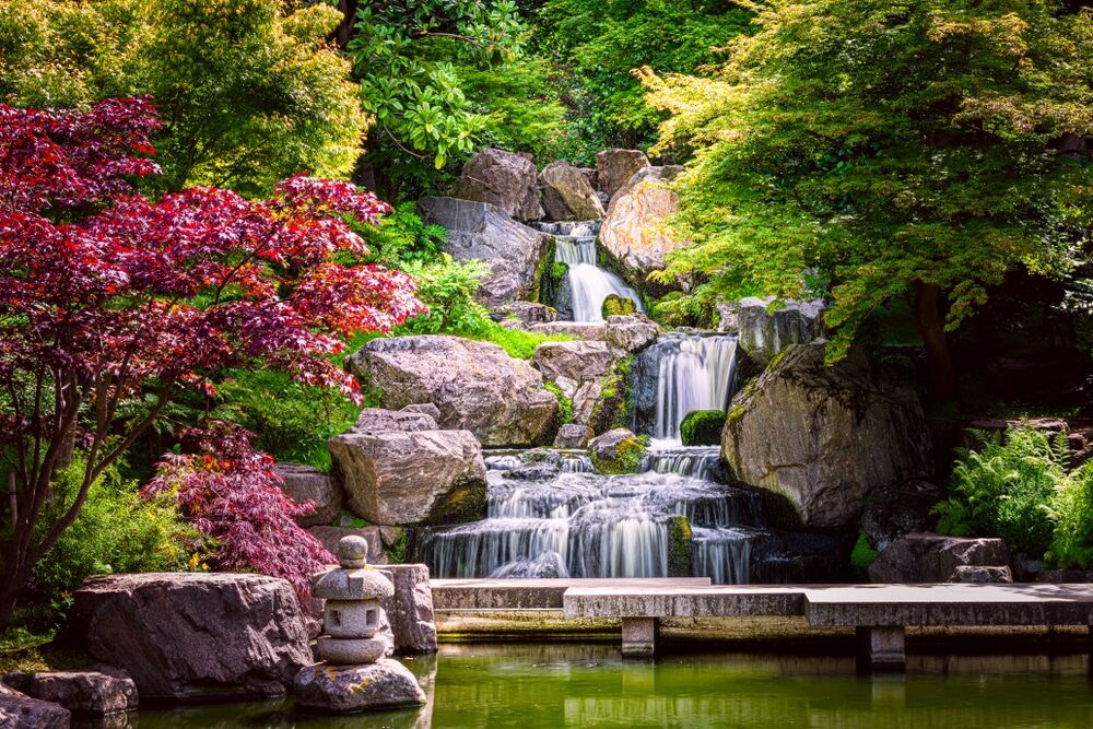 Waterfall flowing through trees near Manchester